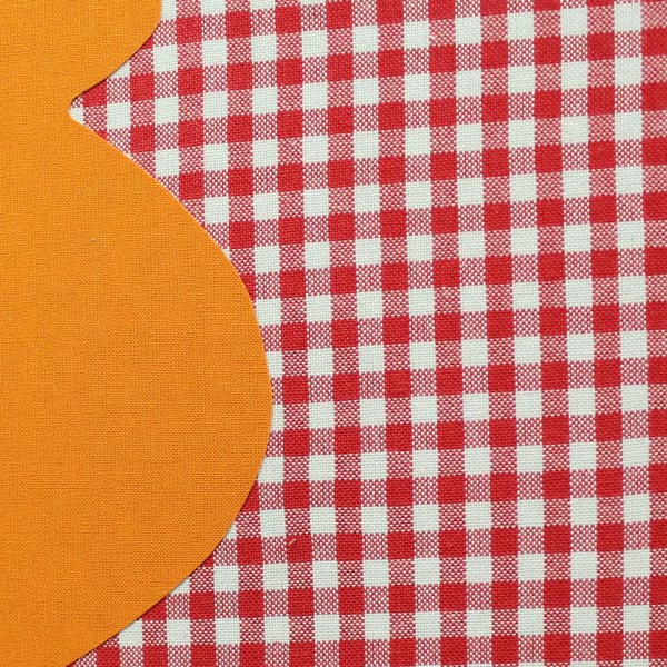 Schwangerschaftstagebuch blanko in orange rot