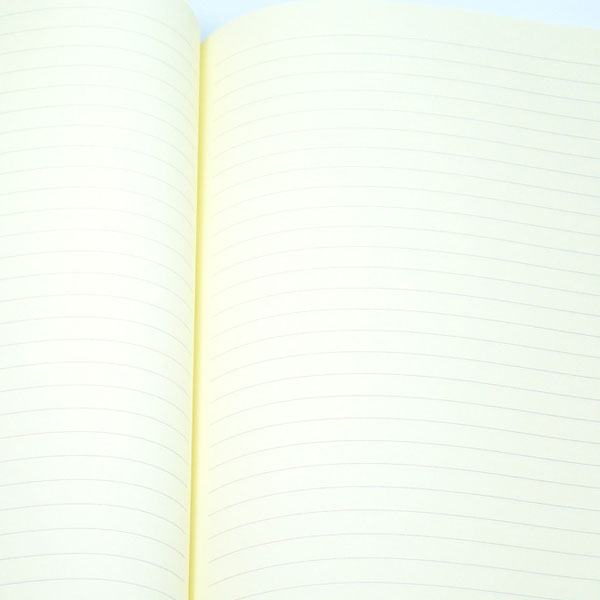 Liniertes DIN A5 Tagebuch