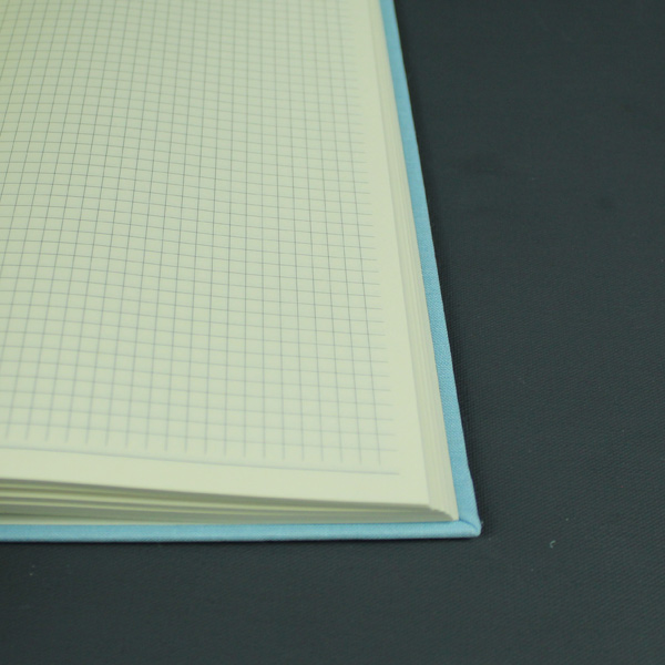 Kariertes hellblau gemustertes Schwangerschftstagebuch