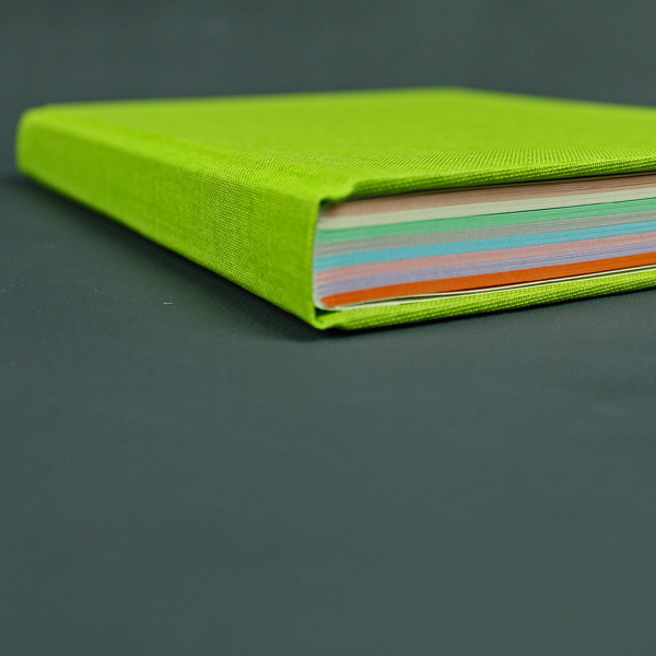 Liniertes grasgrünes Notizbuch mit bunter Registereinteilung