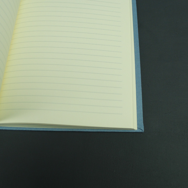 Schwangerschaftstagebuch liniert blaugrau