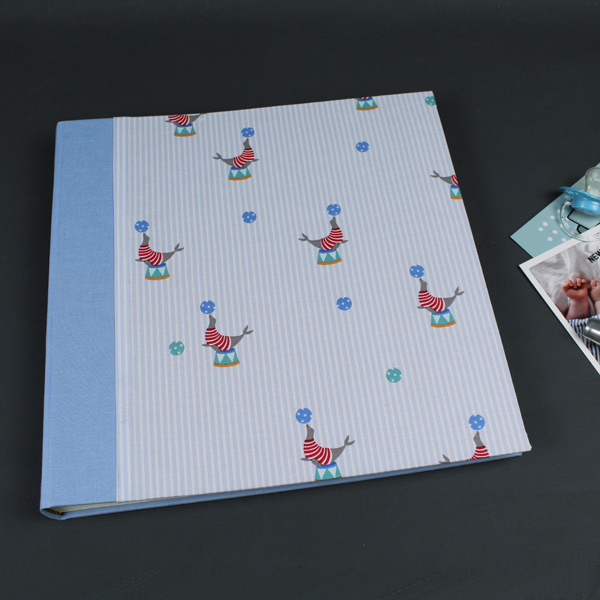 Quadratisches Fotoalbum in zartem Blau Weiß mit Robben
