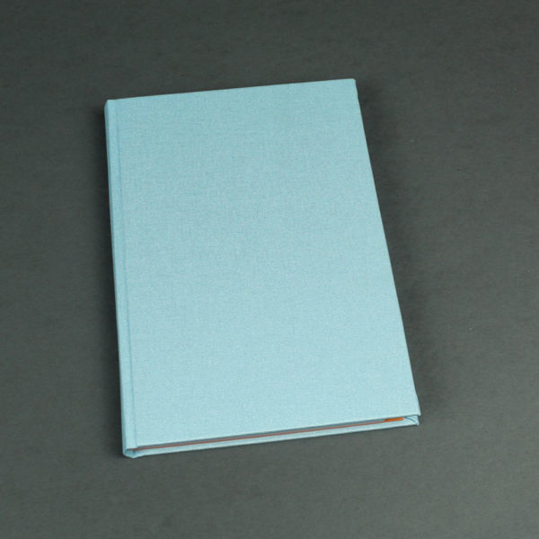 Hellblaues schimmerndes Notizbuch mit bunten Registerseiten
