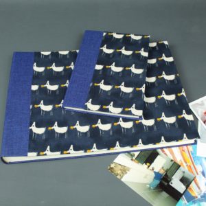 Babytagebuch mit passendem Fotoalbum blau weiß mit Möwen