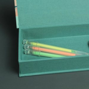 Stiftebox mit Löwe und Giraffe für die Schultüte