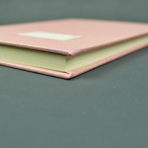 Zart perlmut apricot Notizbuch