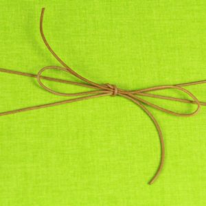 Schlichtes hellgrünes Notizbuch mit Lederband Verschluss