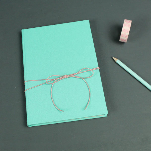Zart grünes Tagebuch DIN A5 mit rosa Lederband