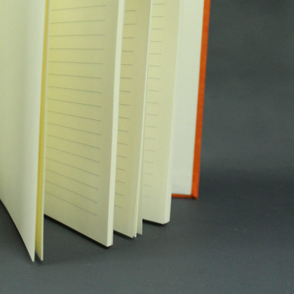 Liniertes orange blaues Schwangerschaftstagebuch