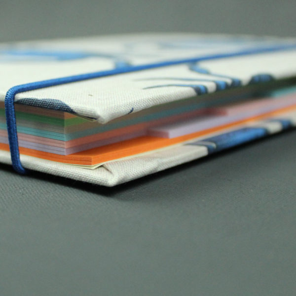 DIN A5 Fisch Kochbuch