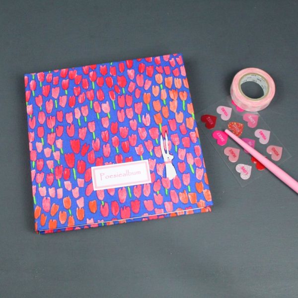 Freundebuch blau pink