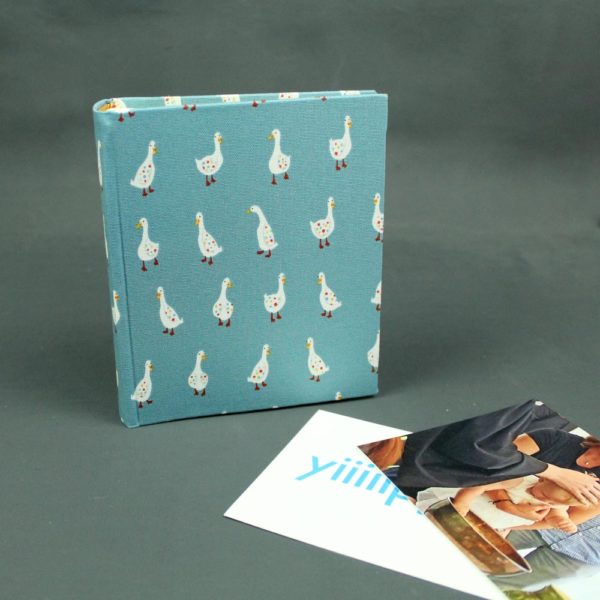 Türkis buntes Einsteckalbum