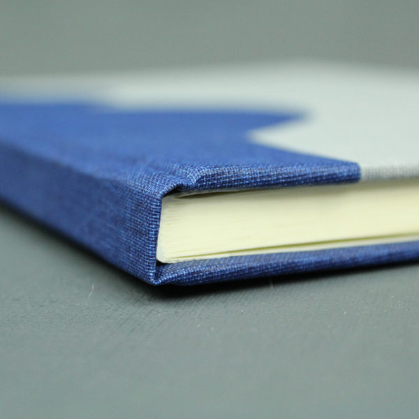 Blaues Schwangerschaftstagebuch