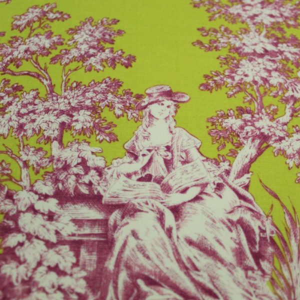 Kästchen Toile de Jouy Grün Pink